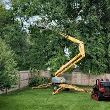 Grass Overseeding in Melbourne, AR